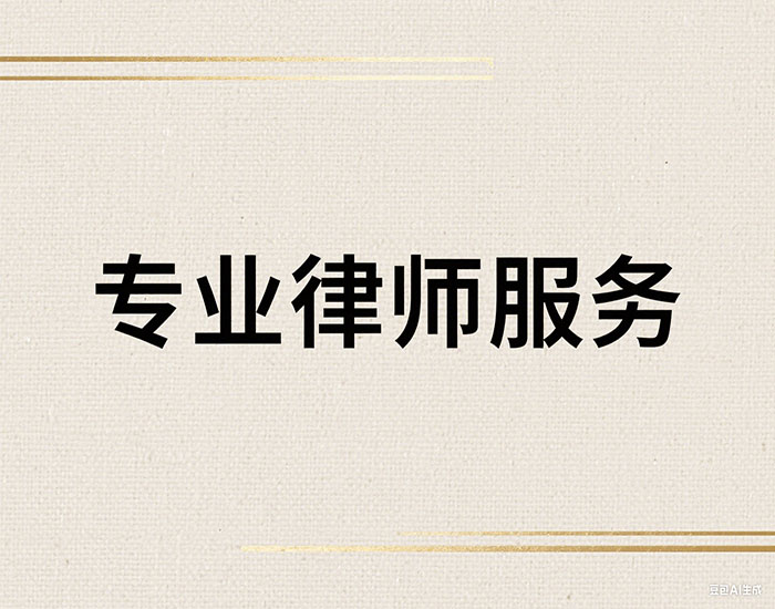 专业律师代理服务
