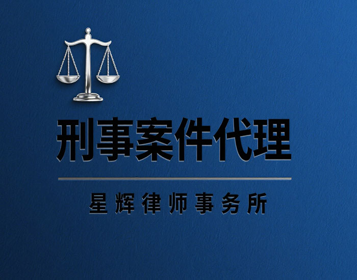刑事案件成功案例分析